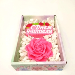 с днем учителя Мылоленд