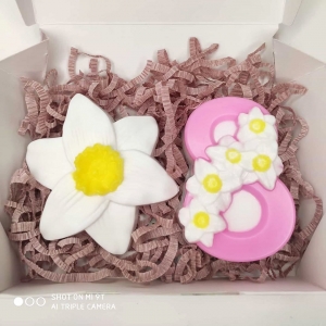 Набор "Нарцисс"