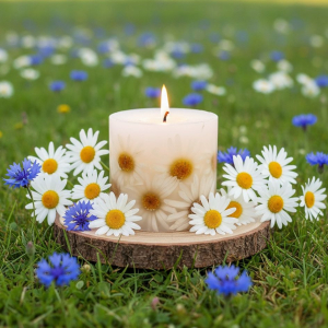 Привет, Ромашки