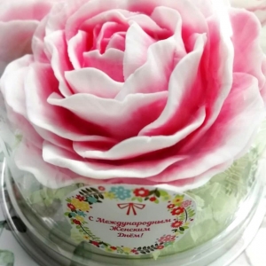 Мылоленд Роза в куполе